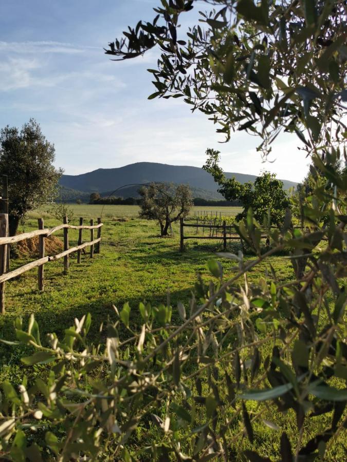 Podere Montecorno Alberese Exterior foto